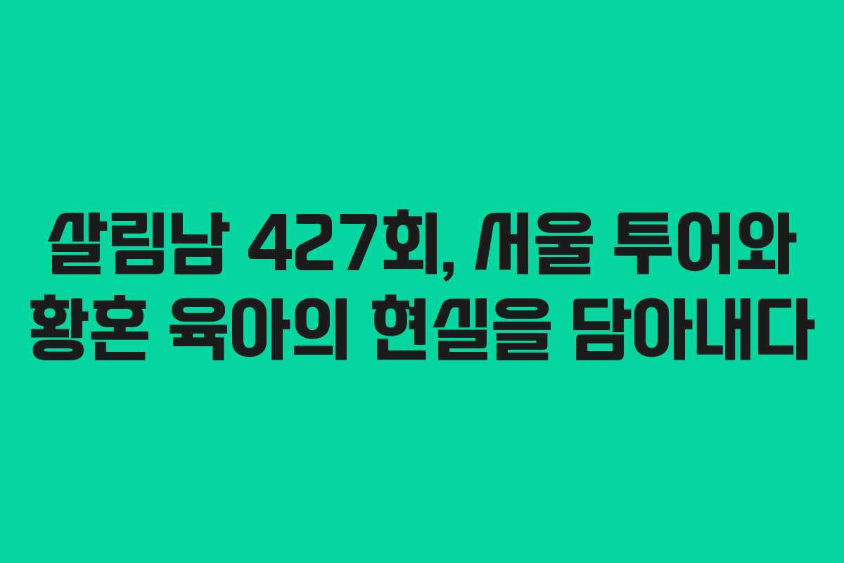 살림남 427회, 서울 투어와 황혼 육아의 현실을 담아내다