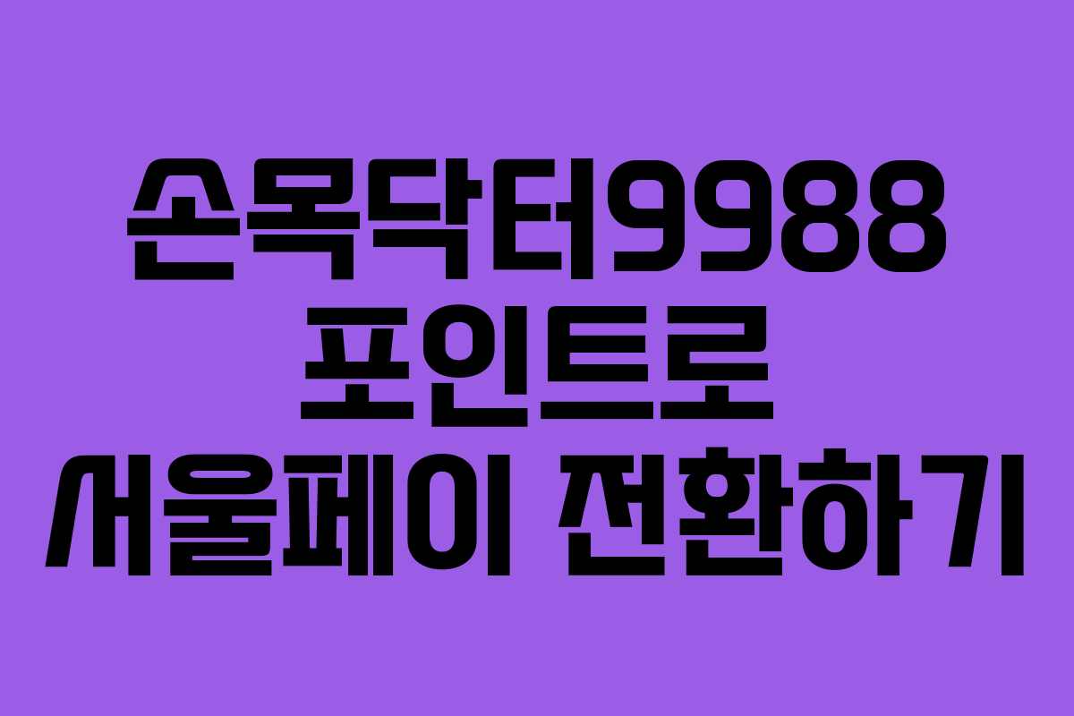 손목닥터9988 포인트로 서울페이 전환하기