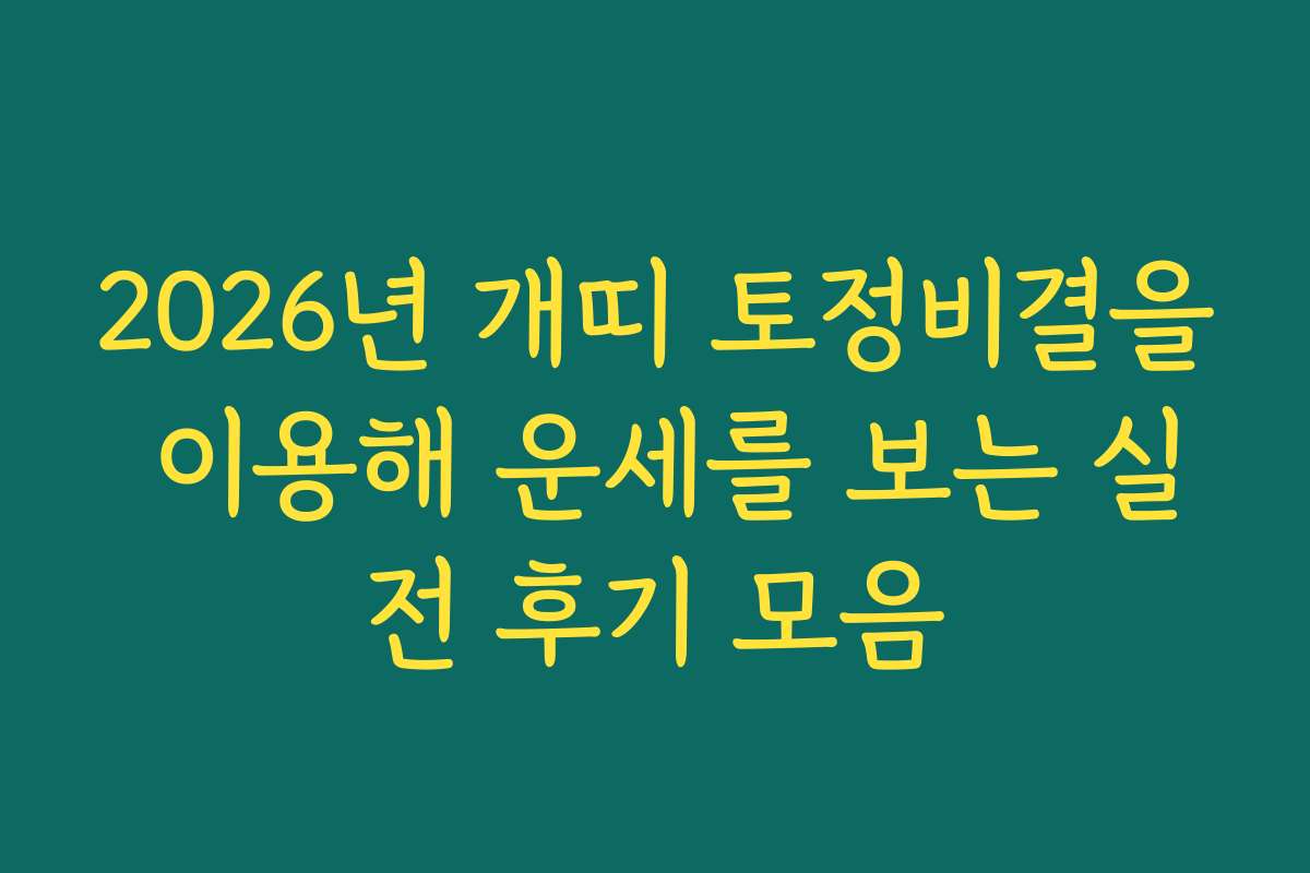 2026년 개띠 토정비결을 이용해 운세를 보는 실전 후기 모음