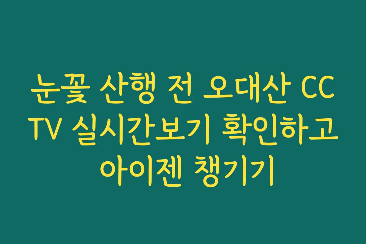 눈꽃 산행 전 오대산 CCTV 실시간보기 확인하고 아이젠 챙기기