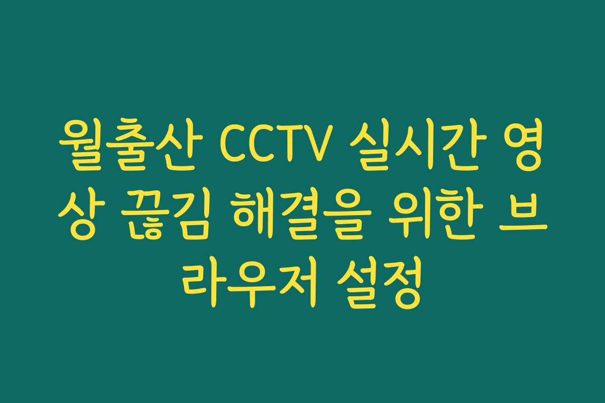 월출산 CCTV 실시간 영상 끊김 해결을 위한 브라우저 설정
