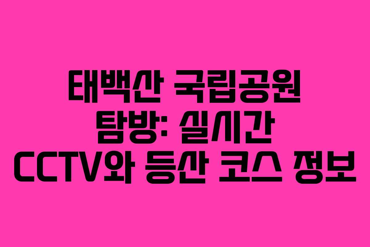 태백산 국립공원 탐방: 실시간 CCTV와 등산 코스 정보