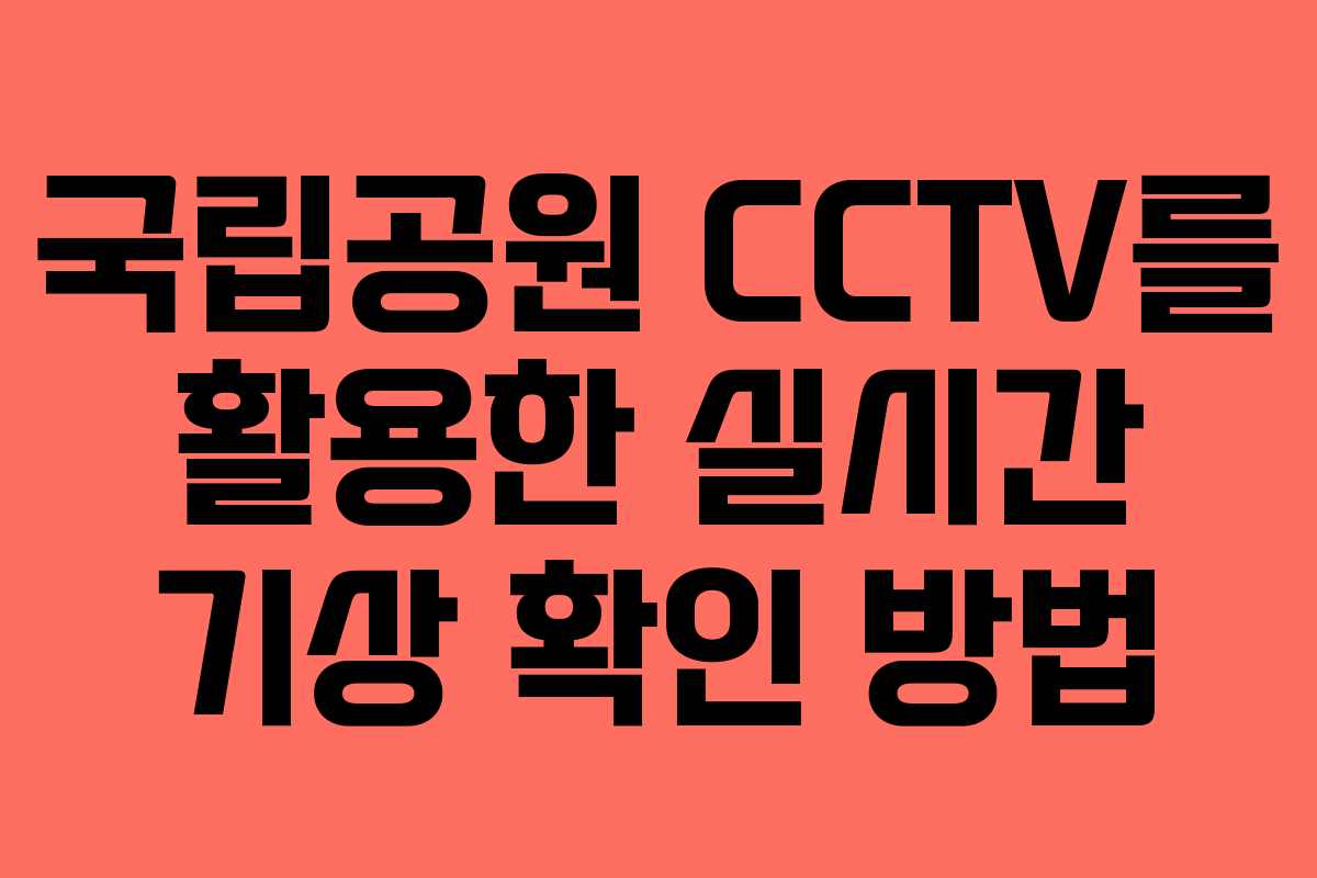 국립공원 CCTV를 활용한 실시간 기상 확인 방법