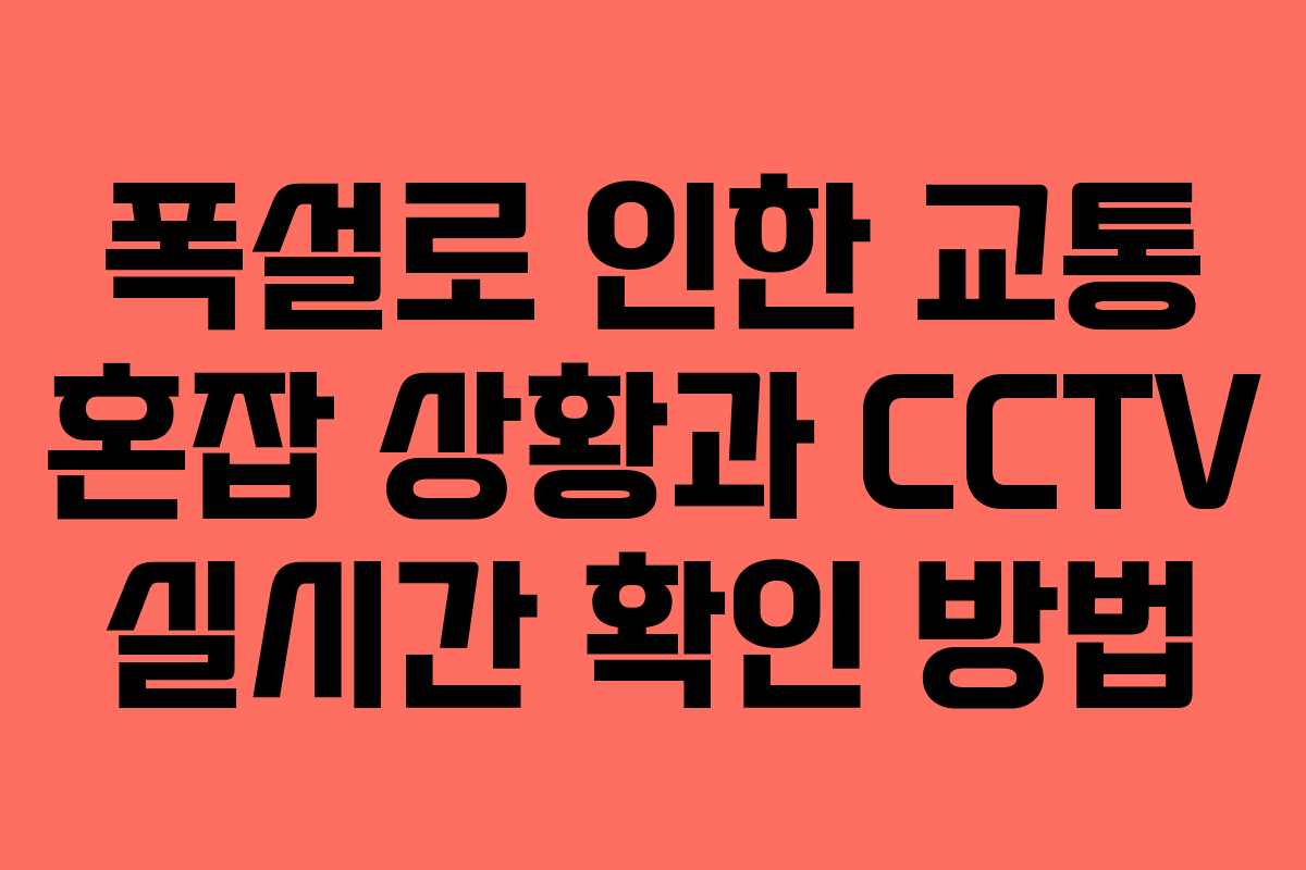 폭설로 인한 교통 혼잡 상황과 CCTV 실시간 확인 방법