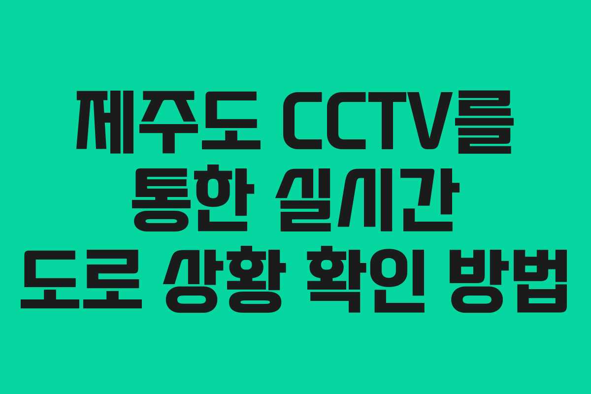 제주도 CCTV를 통한 실시간 도로 상황 확인 방법
