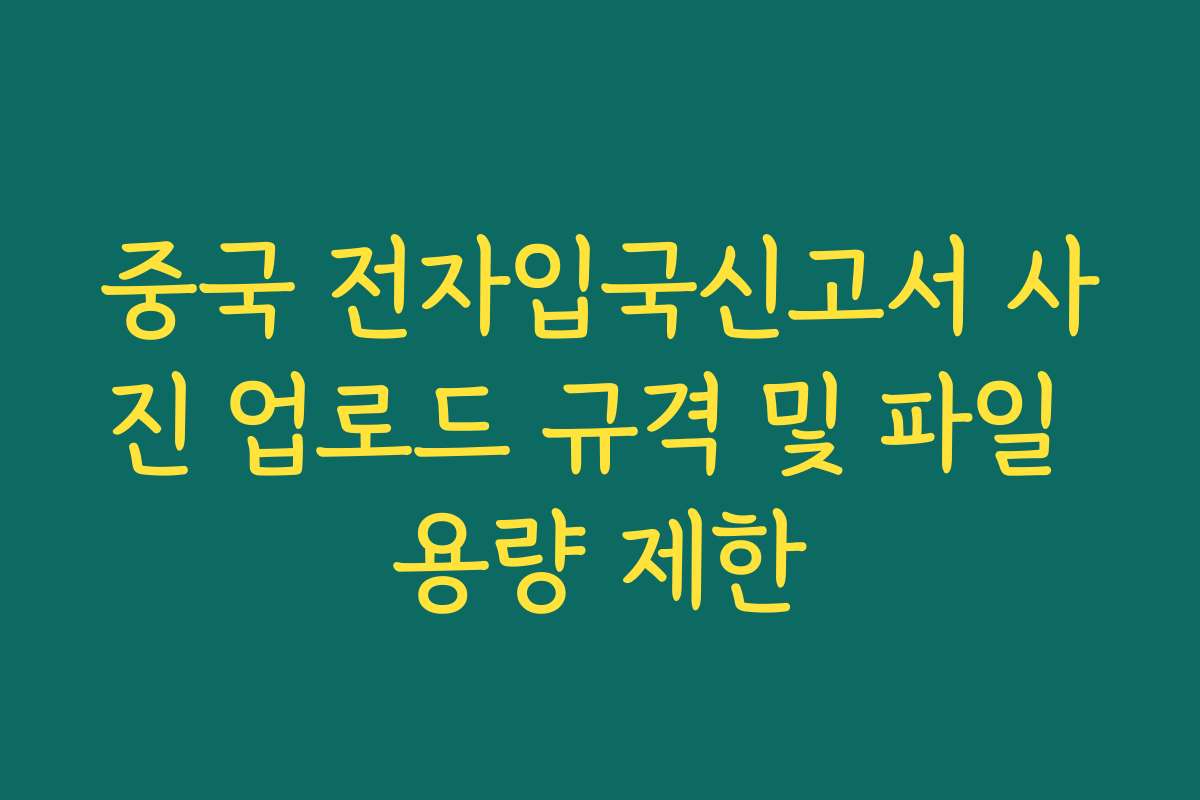 중국 전자입국신고서 사진 업로드 규격 및 파일 용량 제한