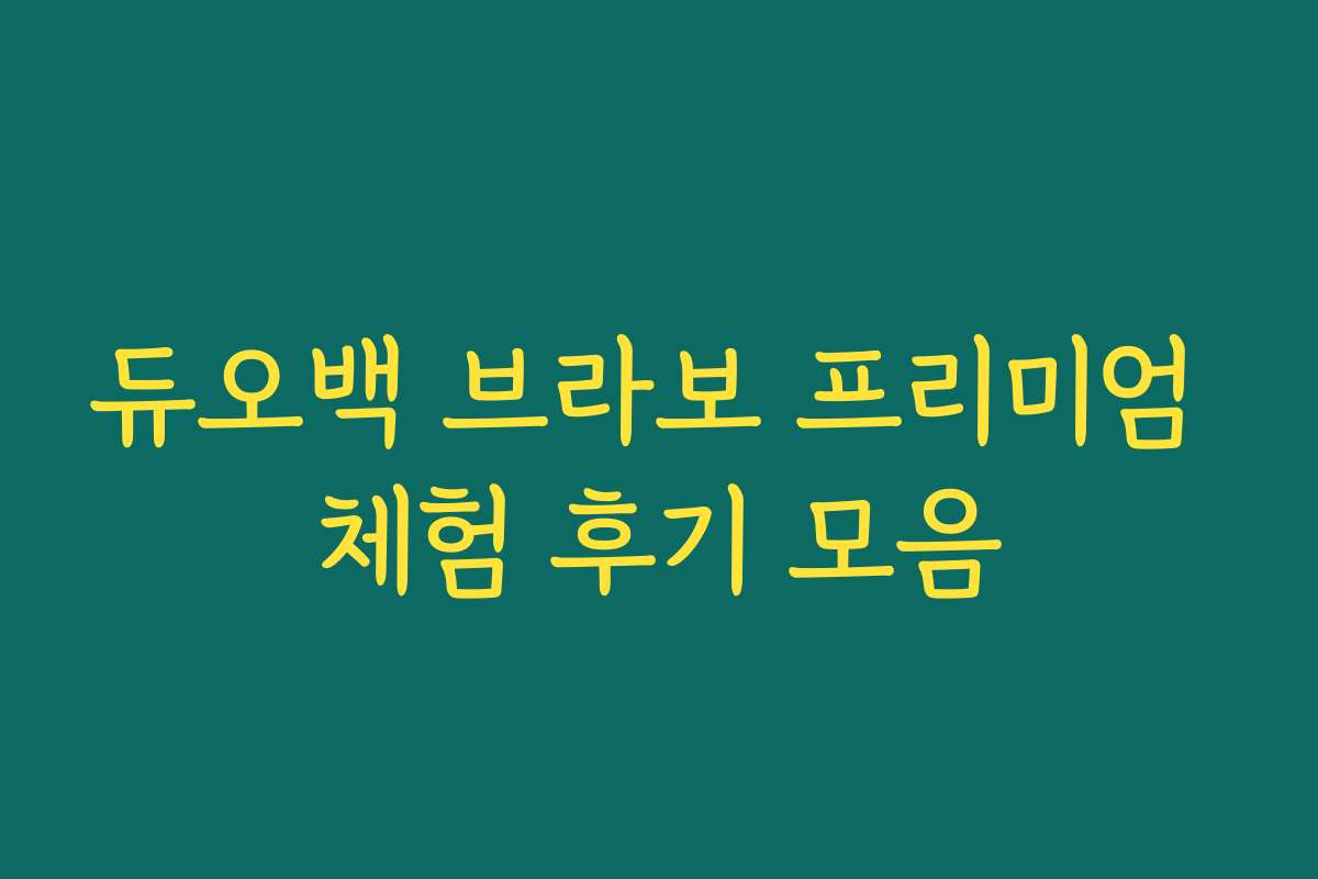 듀오백 브라보 프리미엄 체험 후기 모음