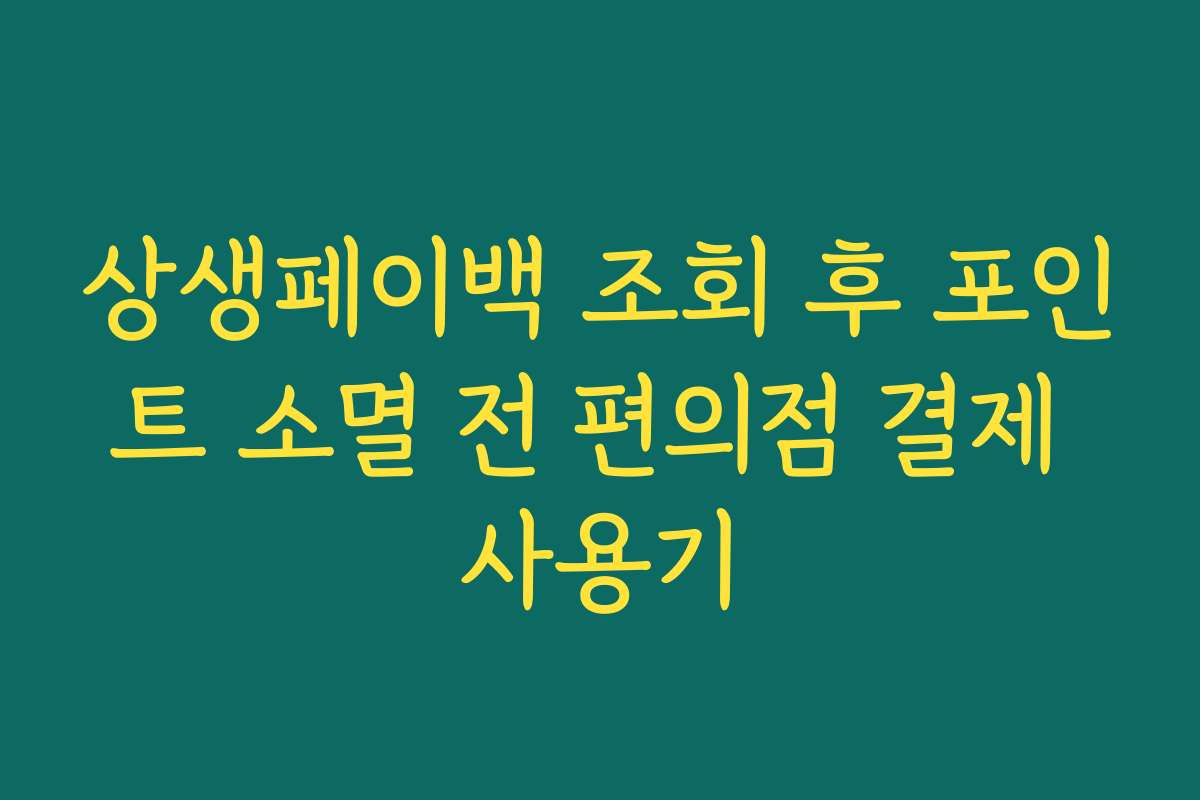 상생페이백 조회 후 포인트 소멸 전 편의점 결제 사용기