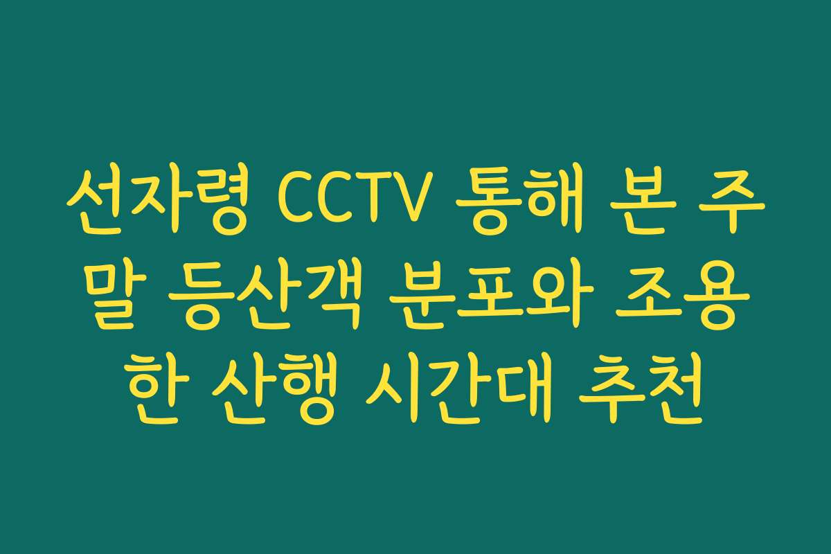 선자령 CCTV 통해 본 주말 등산객 분포와 조용한 산행 시간대 추천