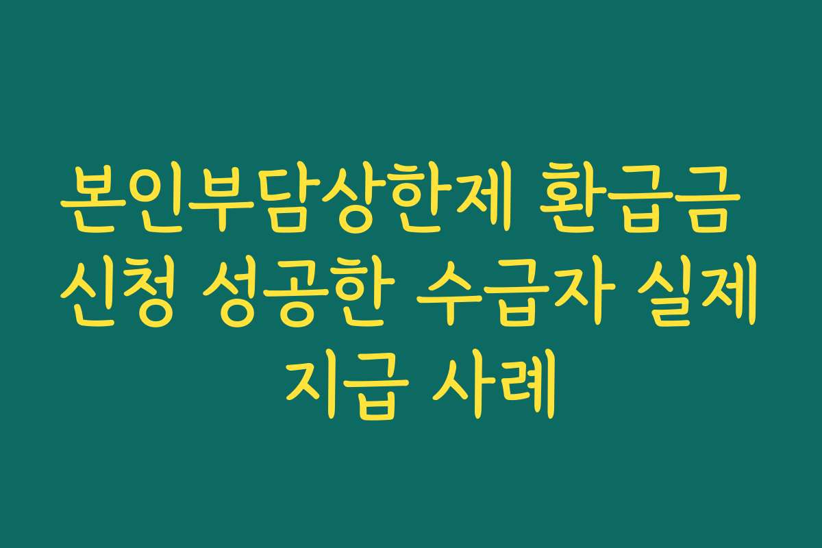 본인부담상한제 환급금 신청 성공한 수급자 실제 지급 사례