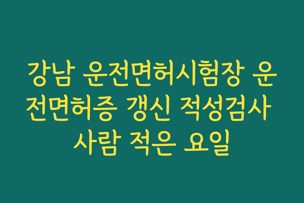 강남 운전면허시험장 운전면허증 갱신 적성검사 사람 적은 요일