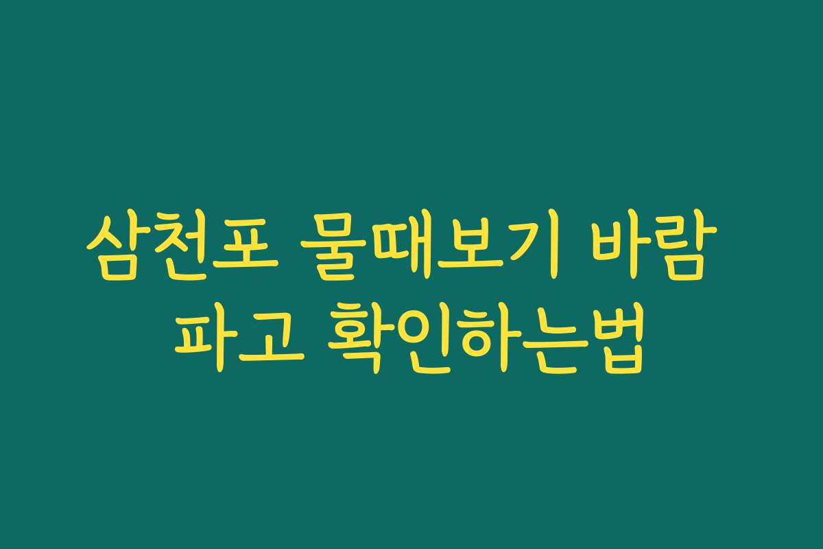 삼천포 물때보기 바람 파고 확인하는법