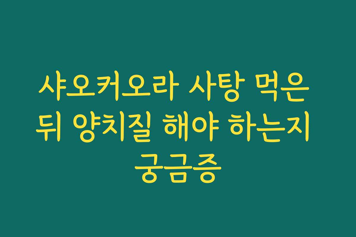 샤오커오라 사탕 먹은 뒤 양치질 해야 하는지 궁금증