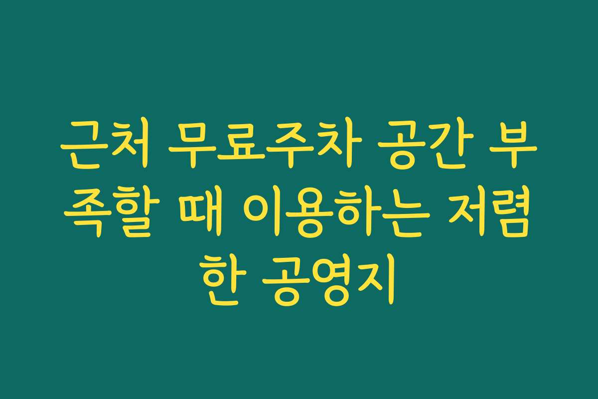 근처 무료주차 공간 부족할 때 이용하는 저렴한 공영지