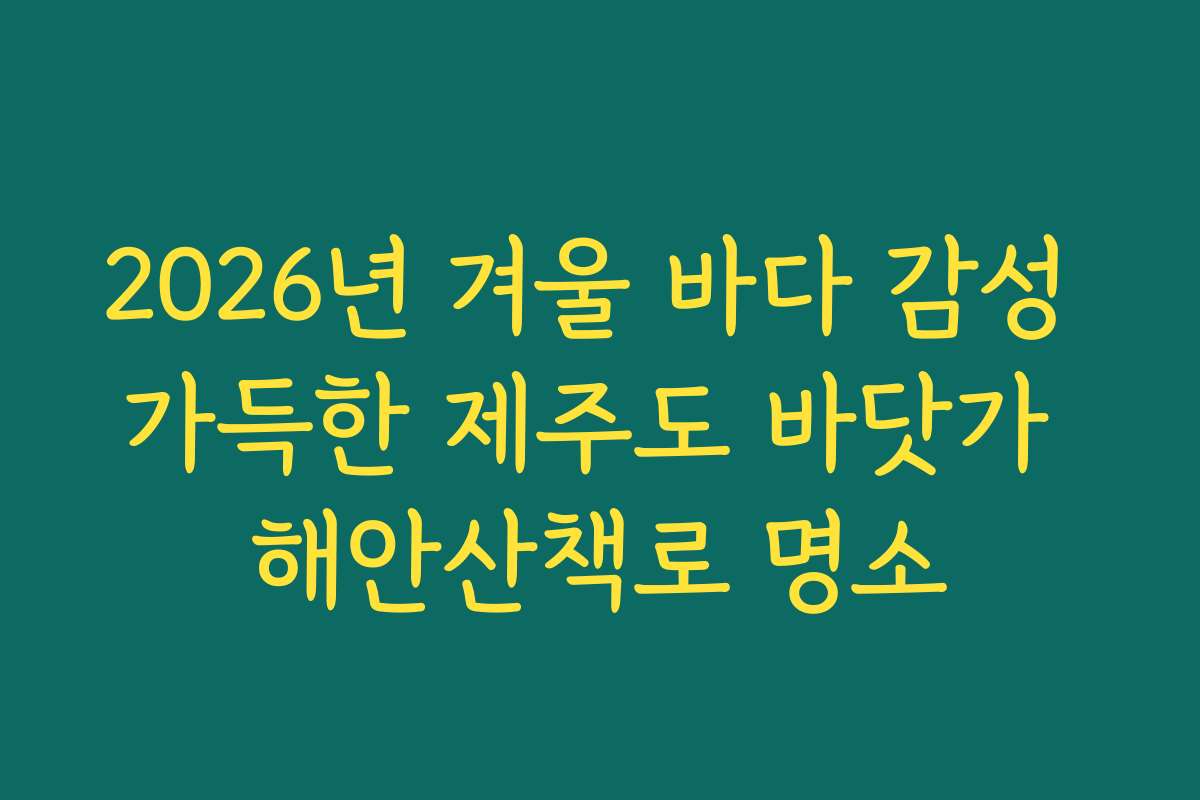 2026년 겨울 바다 감성 가득한 제주도 바닷가 해안산책로 명소
