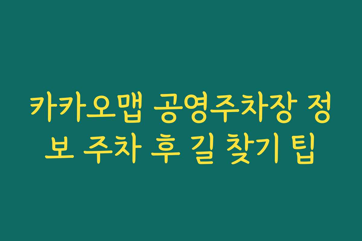 카카오맵 공영주차장 정보 주차 후 길 찾기 팁