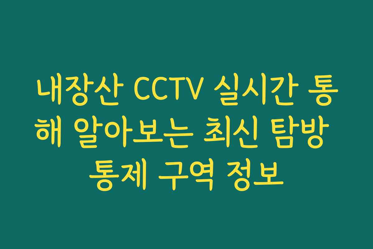 내장산 CCTV 실시간 통해 알아보는 최신 탐방 통제 구역 정보