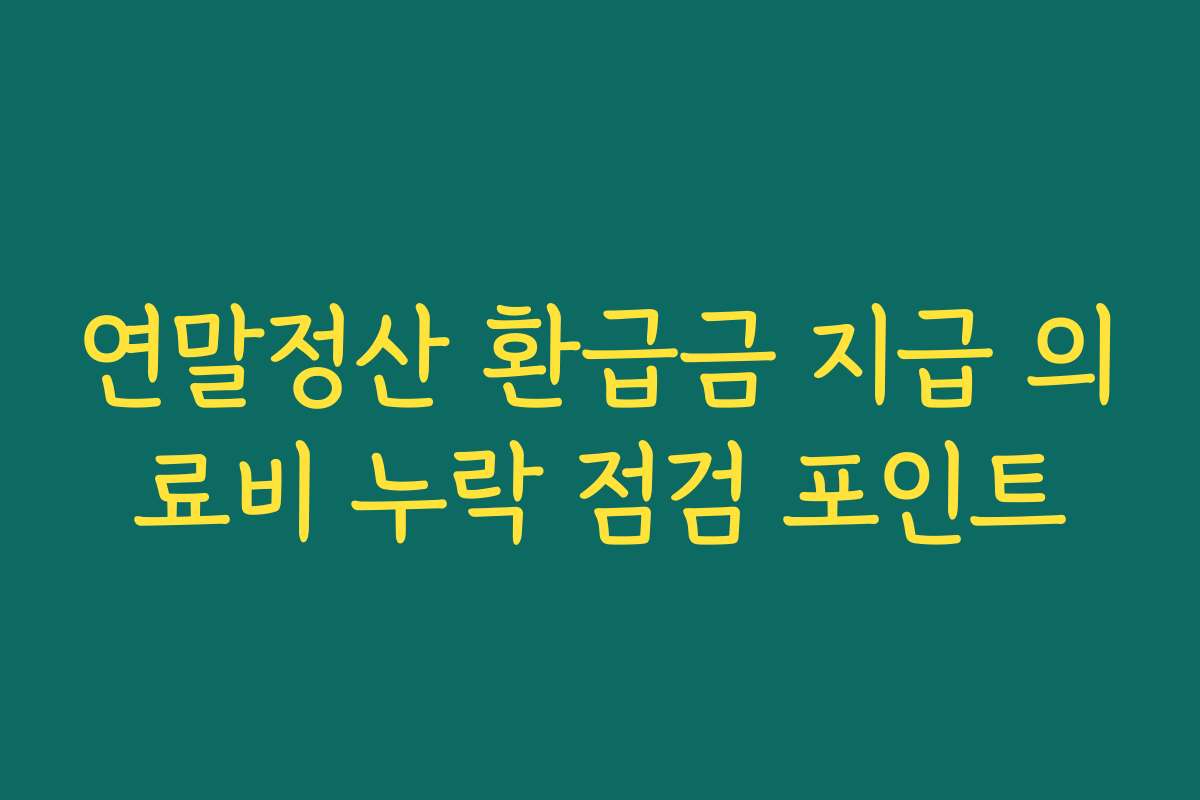 연말정산 환급금 지급 의료비 누락 점검 포인트