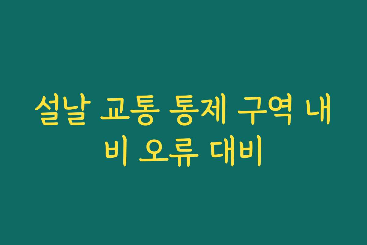 설날 교통 통제 구역 내비 오류 대비