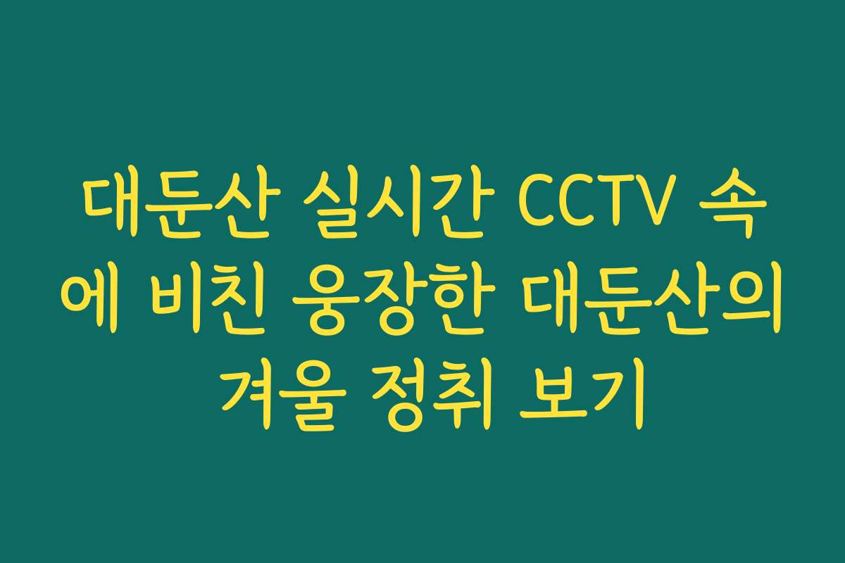 대둔산 실시간 CCTV 속에 비친 웅장한 대둔산의 겨울 정취 보기