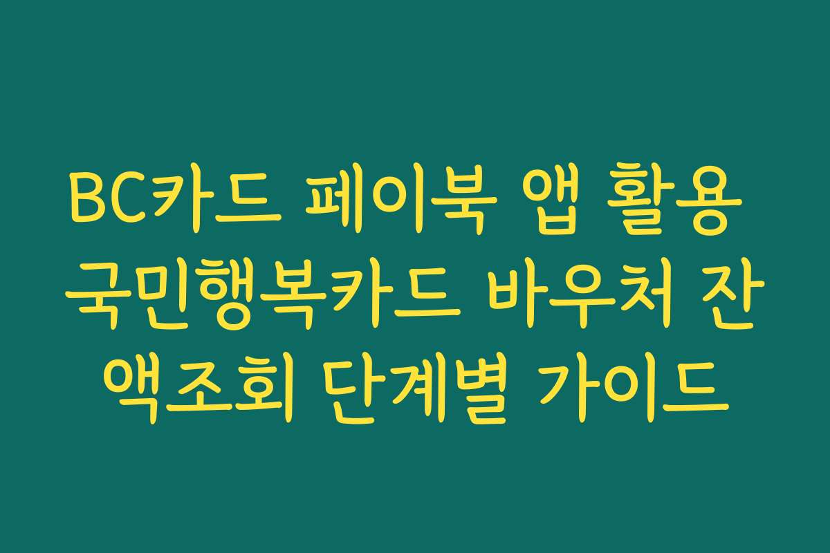 BC카드 페이북 앱 활용 국민행복카드 바우처 잔액조회 단계별 가이드