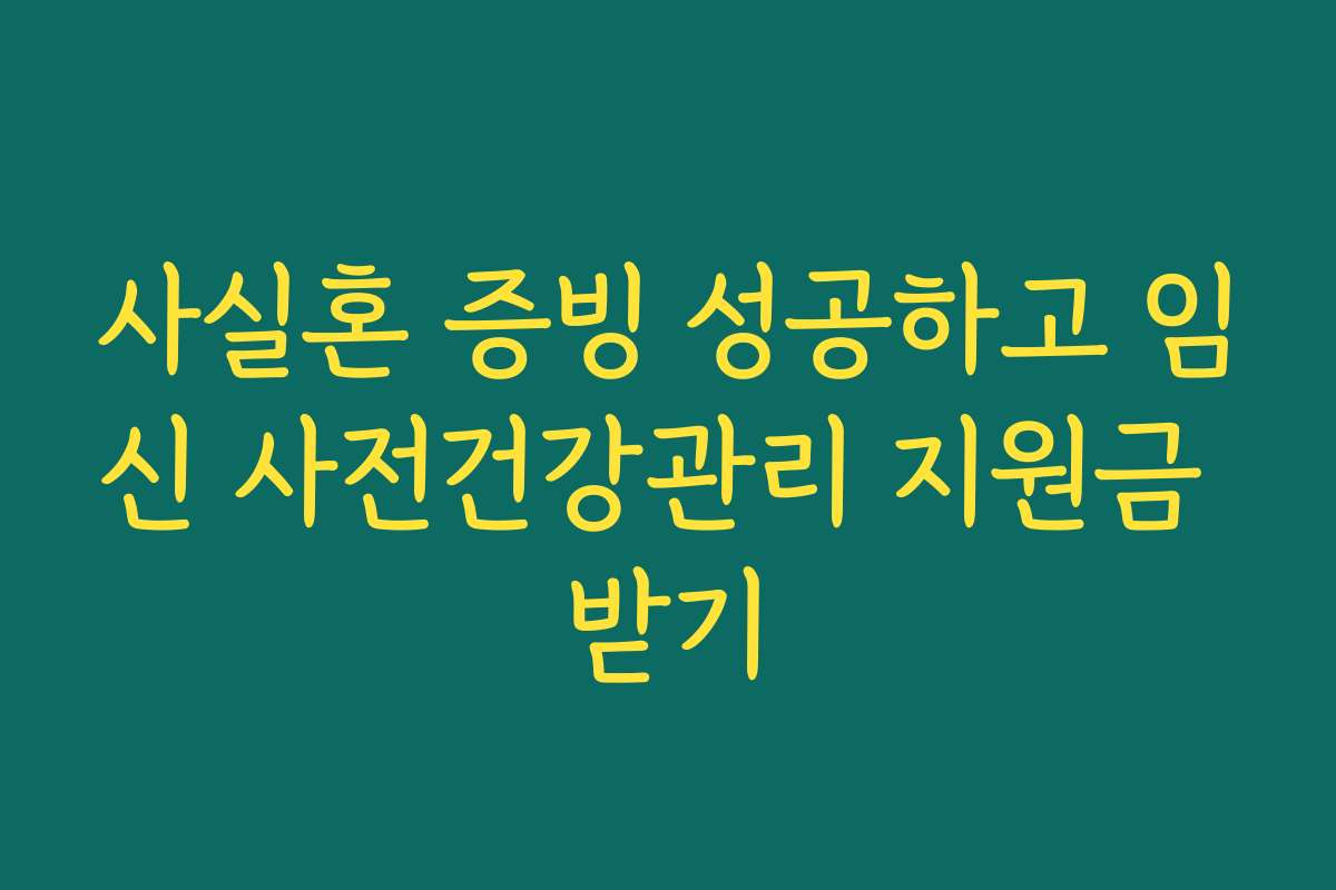 사실혼 증빙 성공하고 임신 사전건강관리 지원금 받기