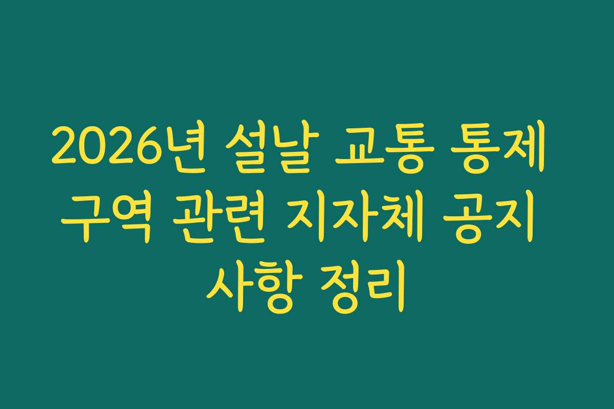 2026년 설날 교통 통제 구역 관련 지자체 공지 사항 정리
