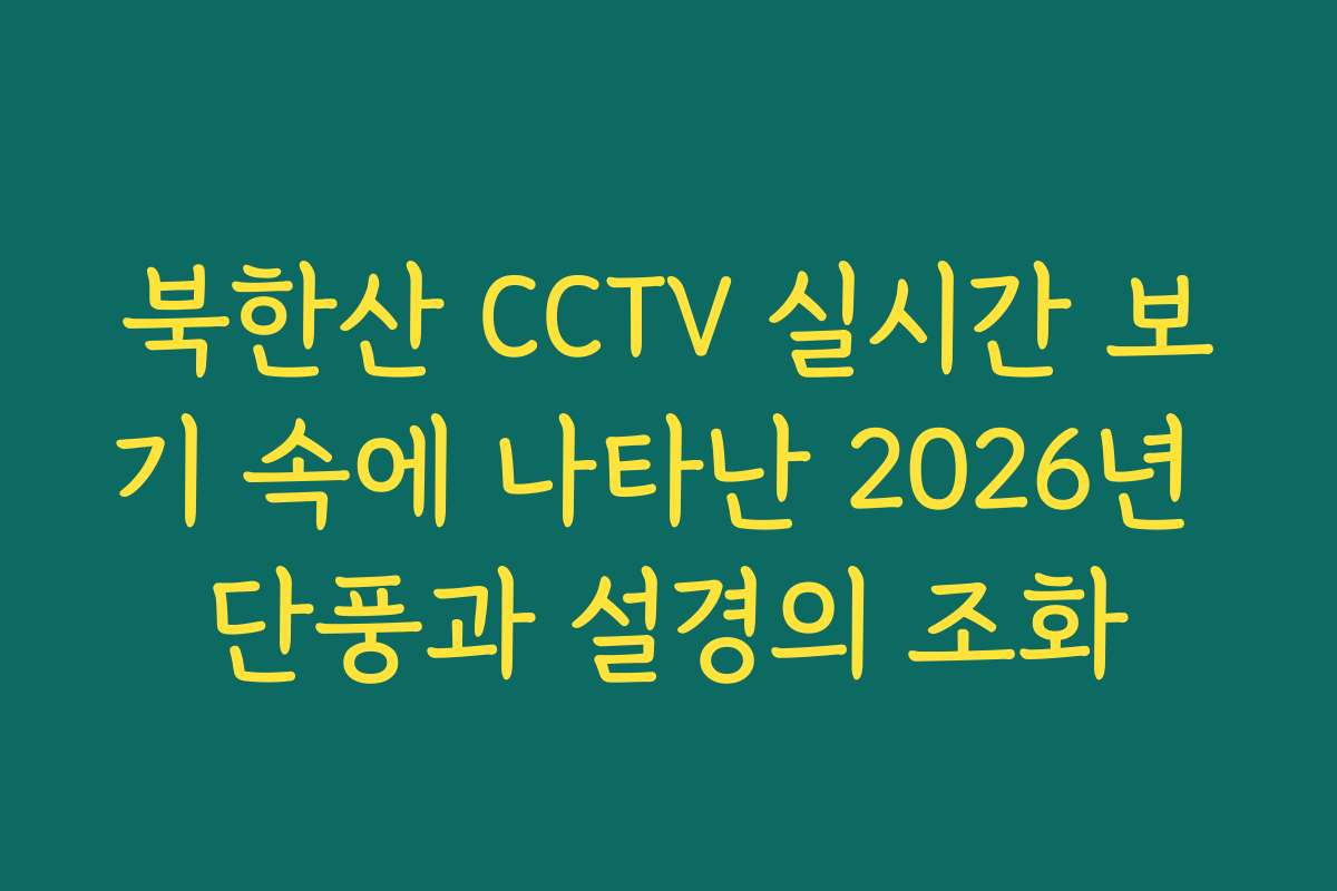북한산 CCTV 실시간 보기 속에 나타난 2026년 단풍과 설경의 조화