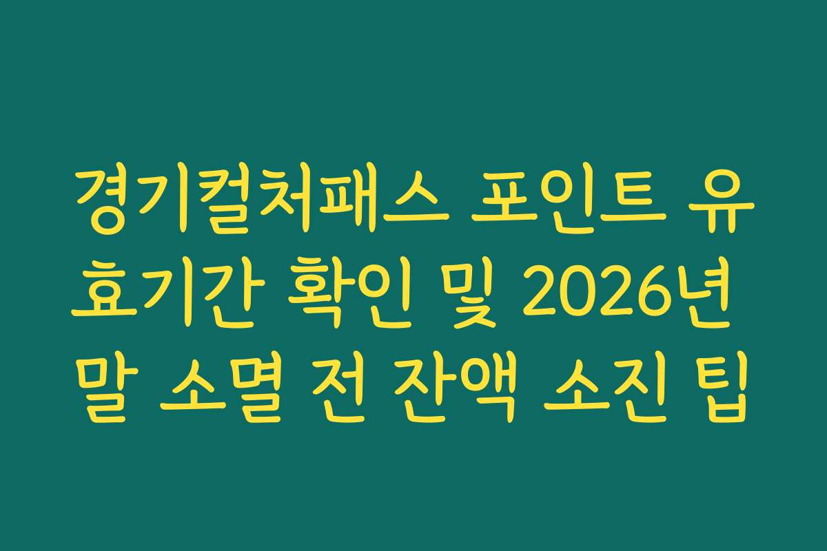 경기컬처패스 포인트 유효기간 확인 및 2026년 말 소멸 전 잔액 소진 팁