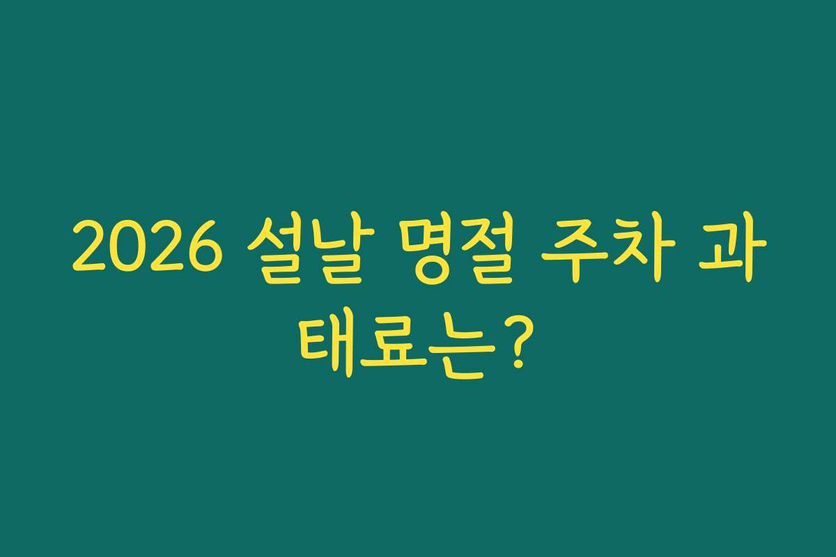 2026 설날 명절 주차 과태료는?