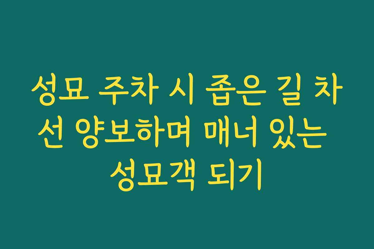 성묘 주차 시 좁은 길 차선 양보하며 매너 있는 성묘객 되기