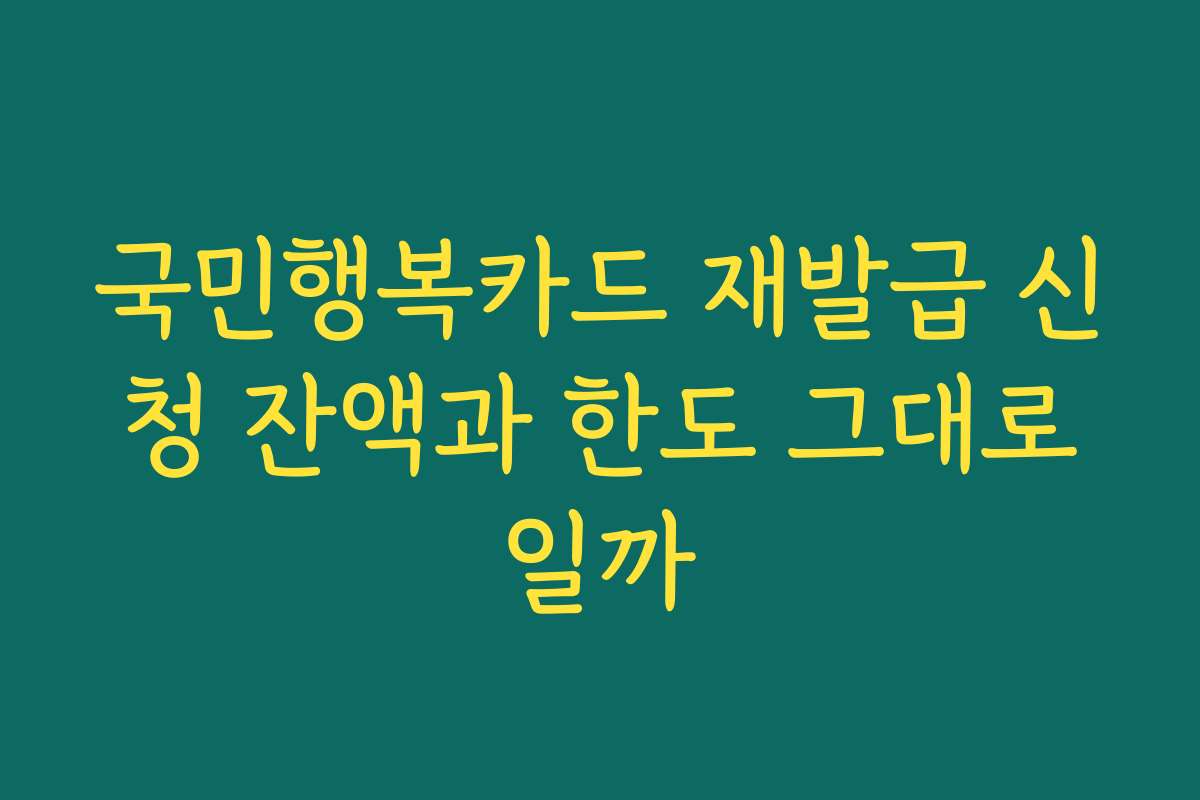 국민행복카드 재발급 신청 잔액과 한도 그대로일까