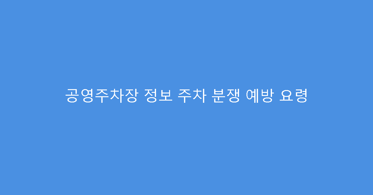 공영주차장 정보 주차 분쟁 예방 요령