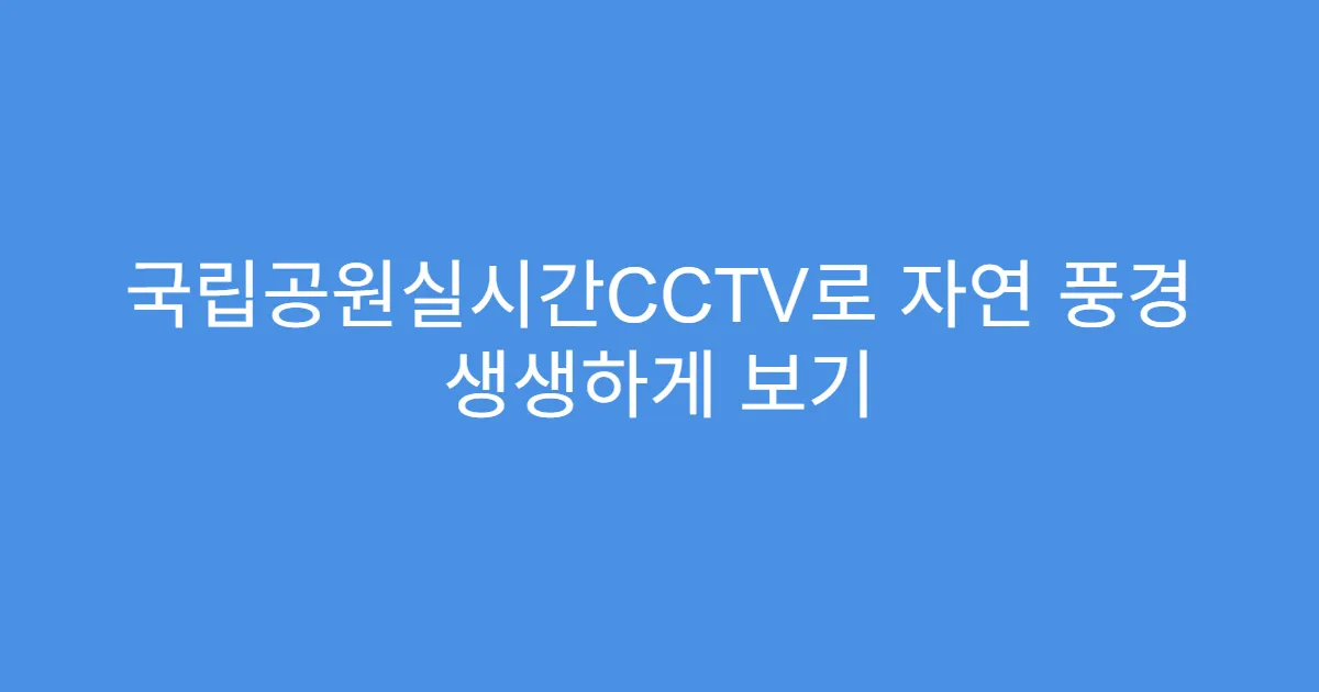 국립공원실시간CCTV로 자연 풍경 생생하게 보기