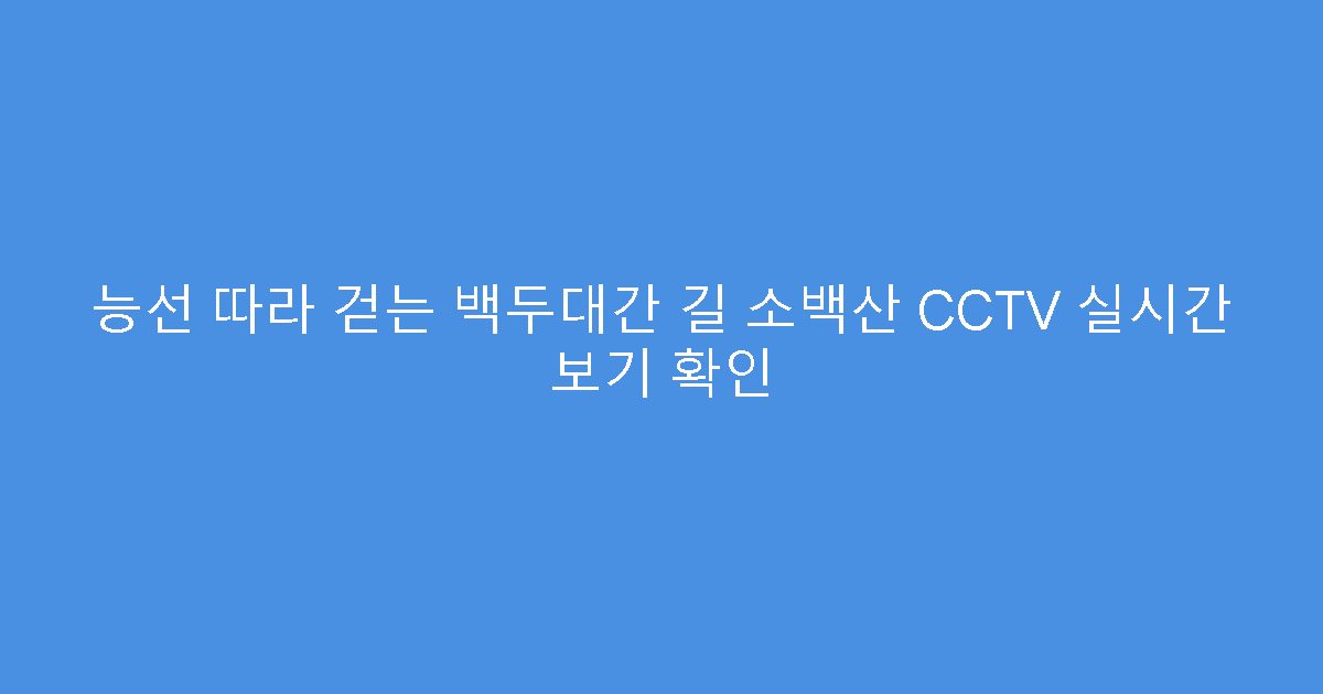 능선 따라 걷는 백두대간 길 소백산 CCTV 실시간 보기 확인