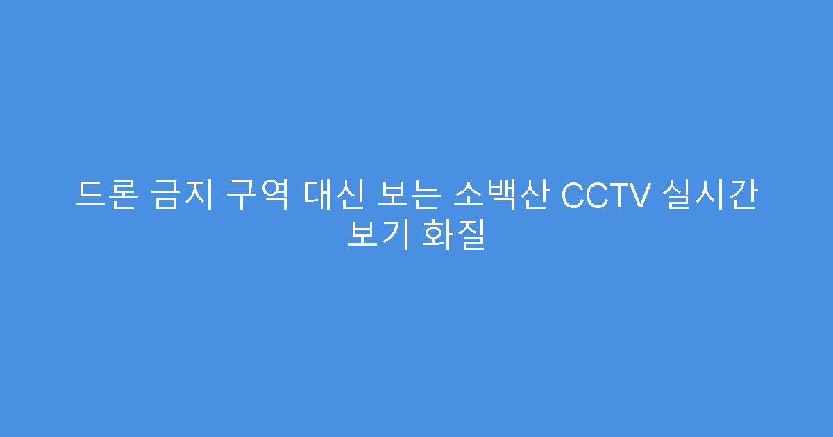 드론 금지 구역 대신 보는 소백산 CCTV 실시간 보기 화질