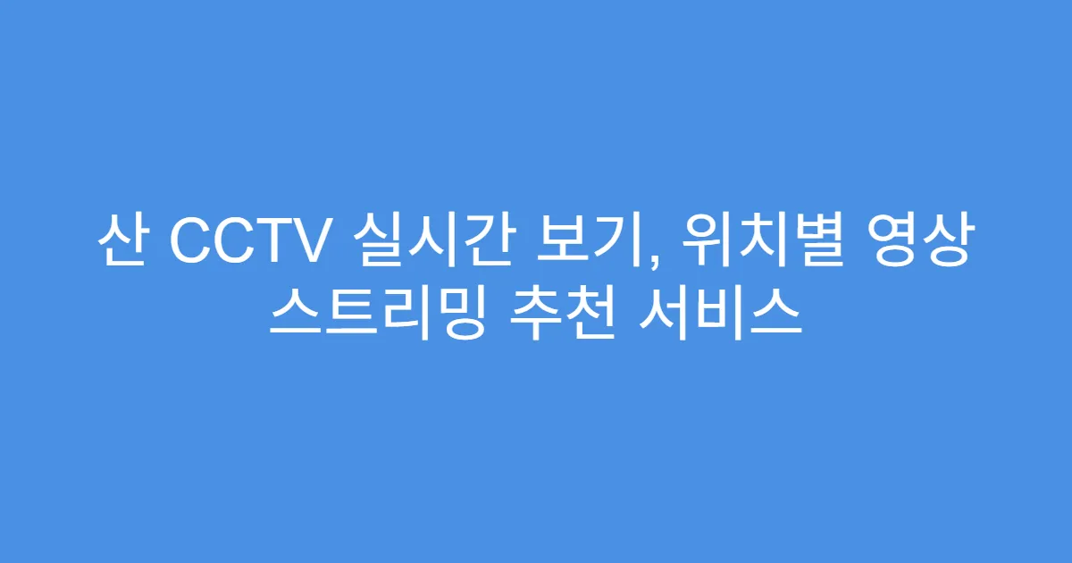 산 CCTV 실시간 보기, 위치별 영상 스트리밍 추천 서비스