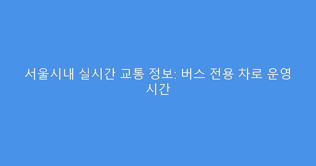 서울시내 실시간 교통 정보: 버스 전용 차로 운영 시간