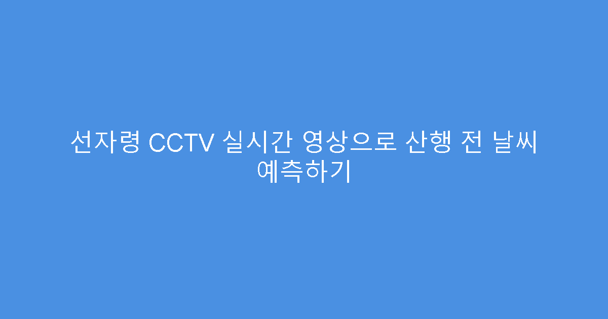 선자령 CCTV 실시간 영상으로 산행 전 날씨 예측하기
