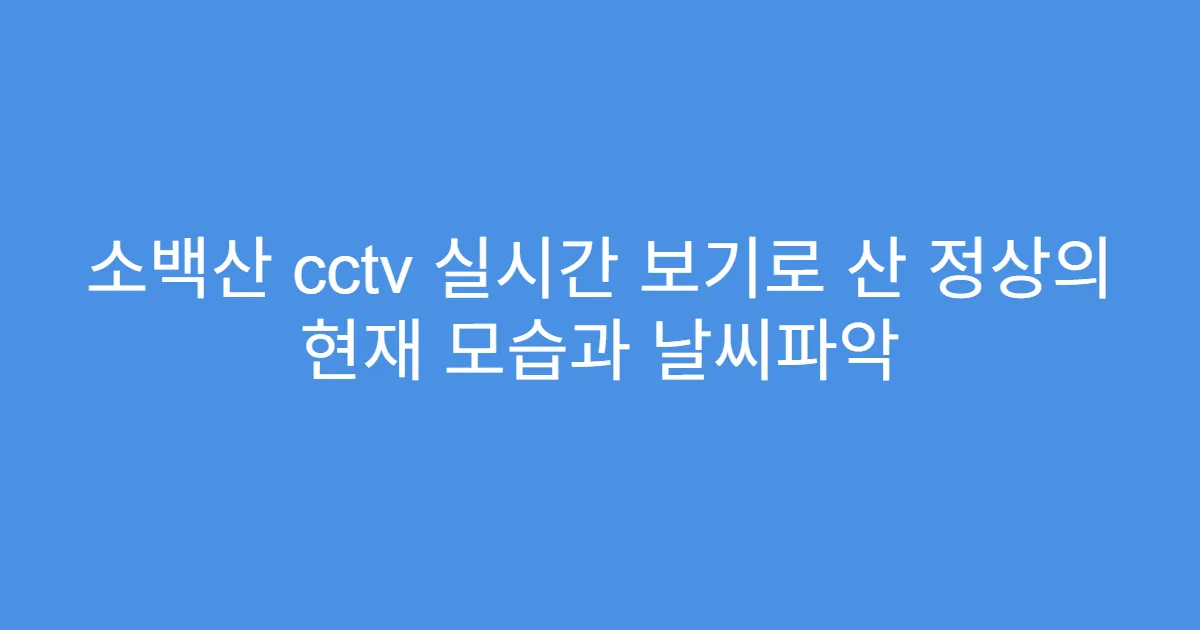 소백산 cctv 실시간 보기로 산 정상의 현재 모습과 날씨파악