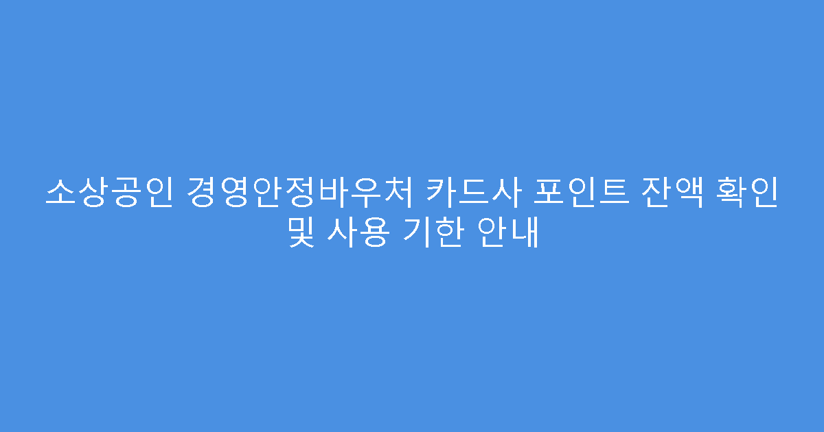 소상공인 경영안정바우처 카드사 포인트 잔액 확인 및 사용 기한 안내