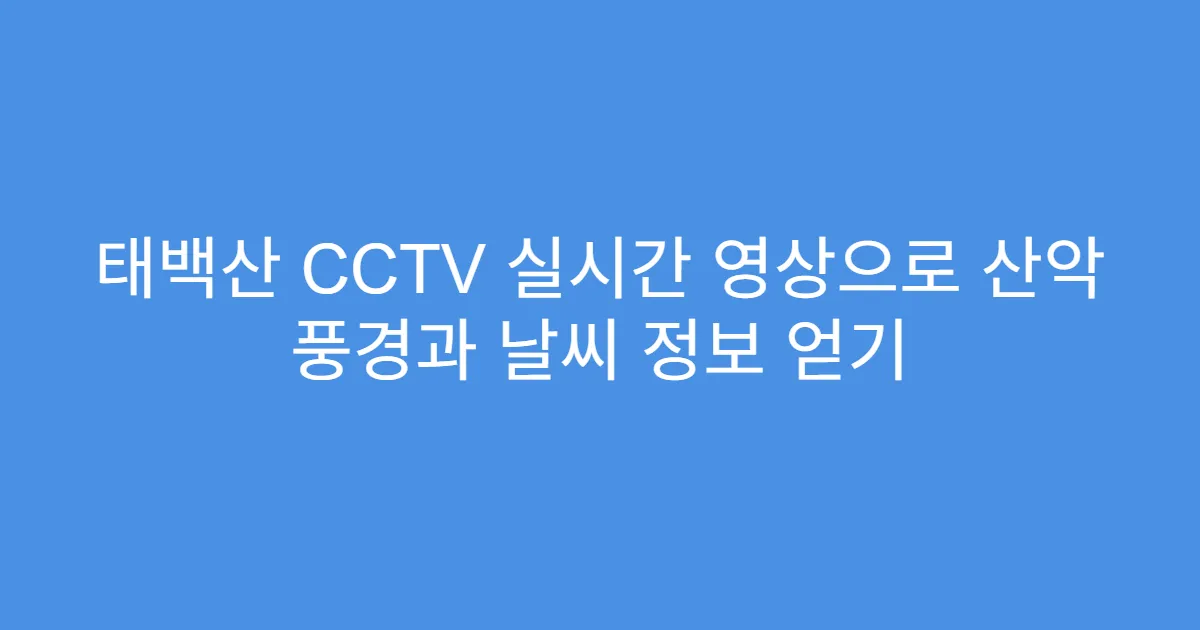 태백산 CCTV 실시간 영상으로 산악 풍경과 날씨 정보 얻기