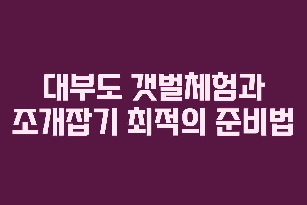 대부도 갯벌체험과 조개잡기 최적의 준비법