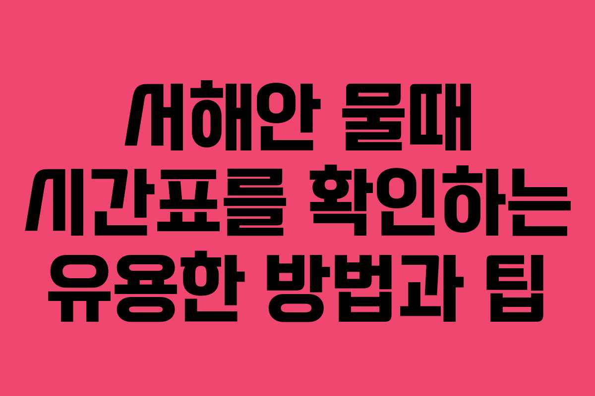 서해안 물때 시간표를 확인하는 유용한 방법과 팁