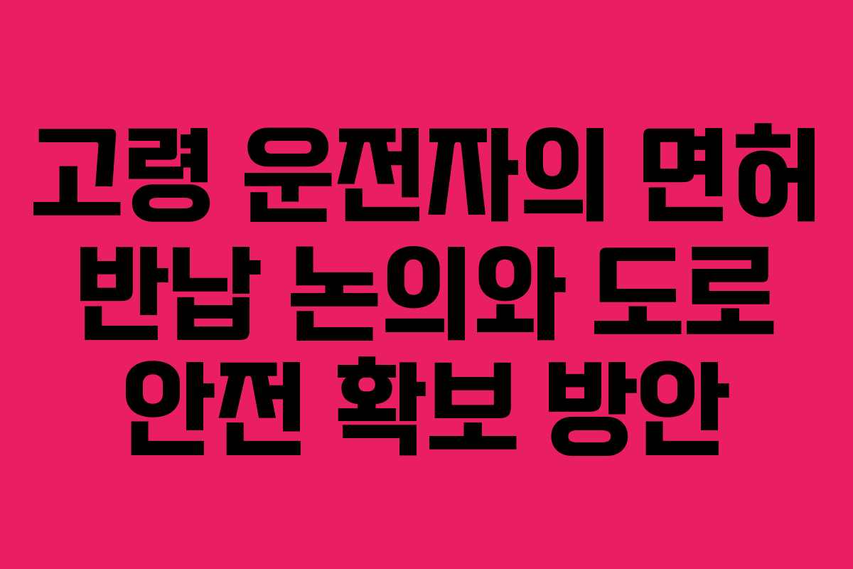 고령 운전자의 면허 반납 논의와 도로 안전 확보 방안