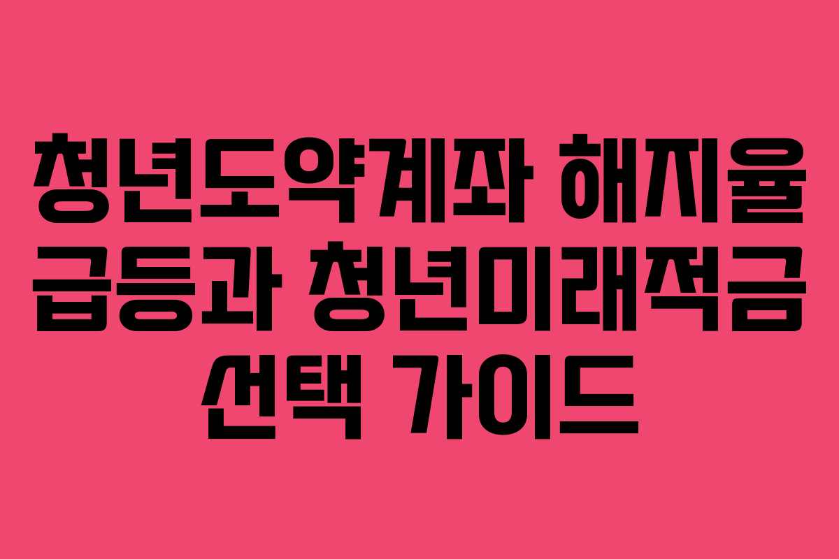 청년도약계좌 해지율 급등과 청년미래적금 선택 가이드