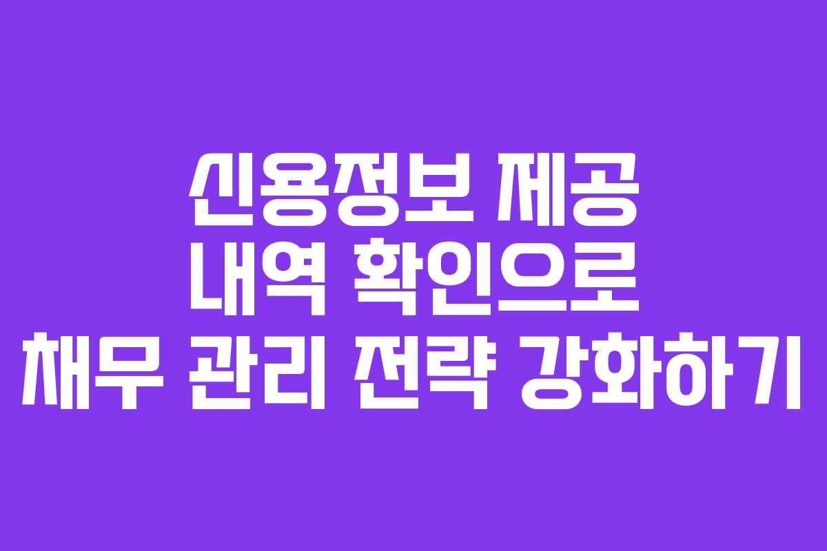 신용정보 제공 내역 확인으로 채무 관리 전략 강화하기
