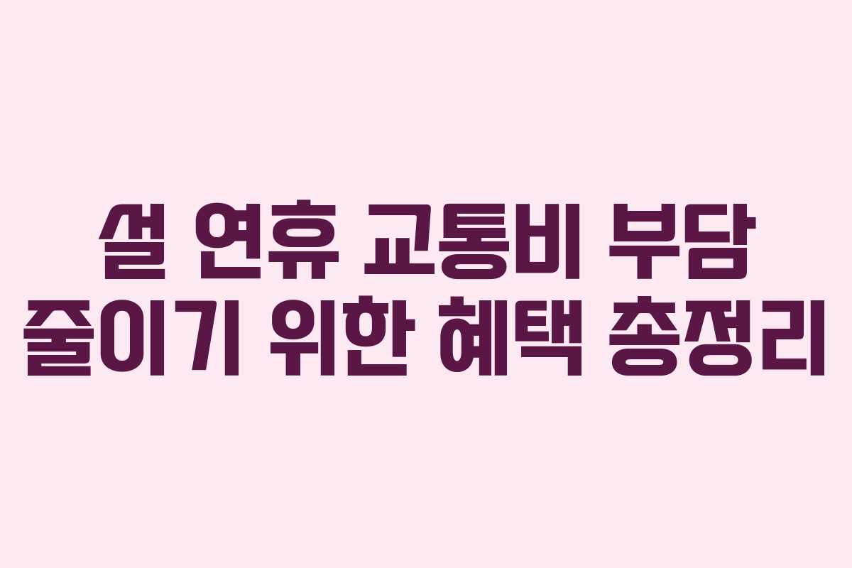 설 연휴 교통비 부담 줄이기 위한 혜택 총정리