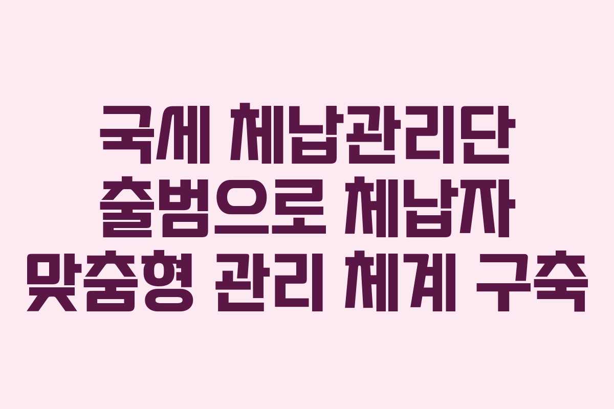 국세 체납관리단 출범으로 체납자 맞춤형 관리 체계 구축