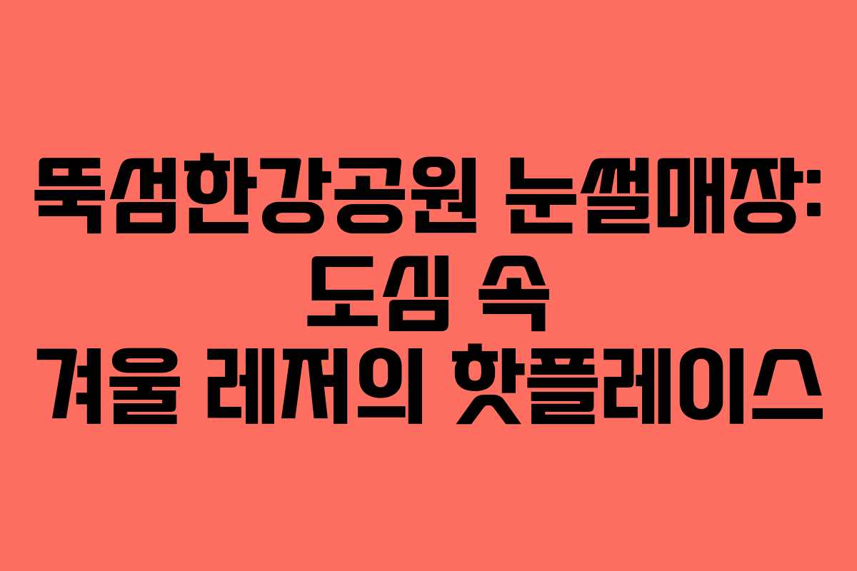 뚝섬한강공원 눈썰매장: 도심 속 겨울 레저의 핫플레이스